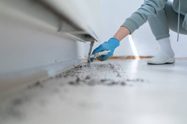 Pest Control Cost in Kenai, AK